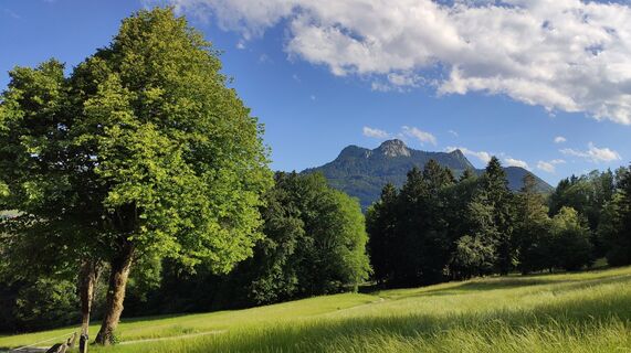 Foto von Adi Lechner entlang der Tour