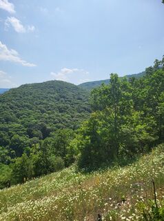 Foto von Zoltán Kőrösi entlang der Tour