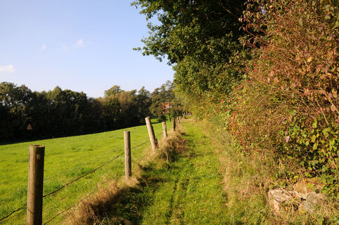 Naturroute Westkilver-Rödinghausen