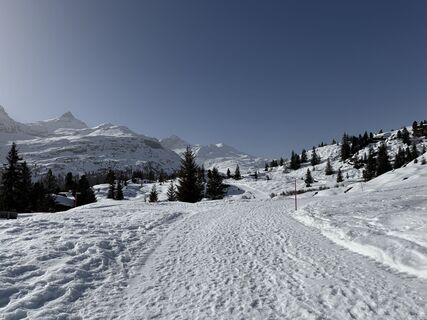 Zdjęcie z Jelena Kuehn wzdłuż trasy