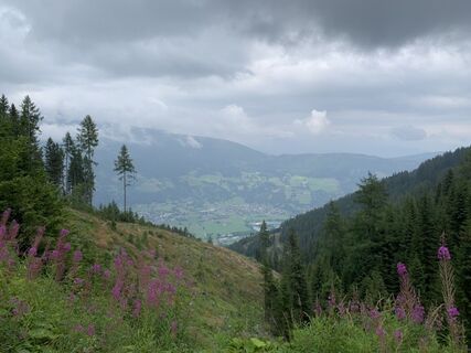 Foto von Koen De Wit entlang der Tour