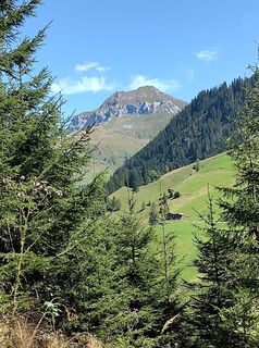 Photo de Stefan Heinzelmann le long du parcours