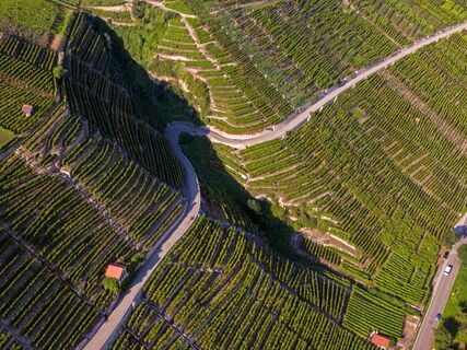Sommer Mundelsheim Käsbergkanzel Neckar