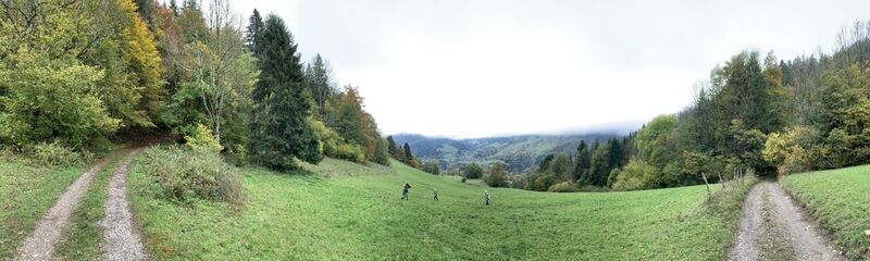 Foto von Koen De Wit entlang der Tour