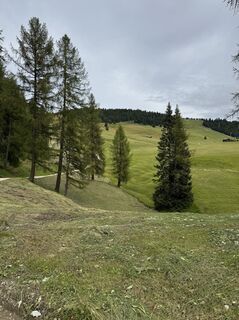 Foto von DonOmarion entlang der Tour