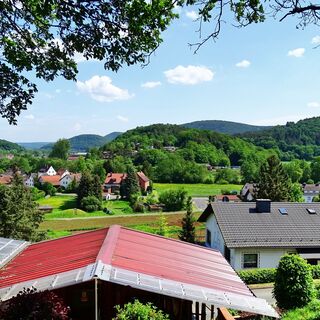 Blick auf Buchenau