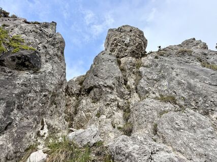 Foto von Natur_erleben_dg entlang der Tour