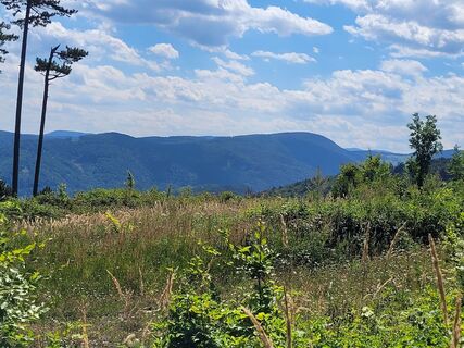 Kuva osoitteesta shac matkan varrella