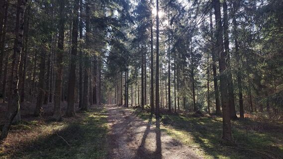 Foto von tomabroad entlang der Tour