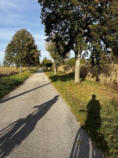 Foto von PEP entlang der Tour