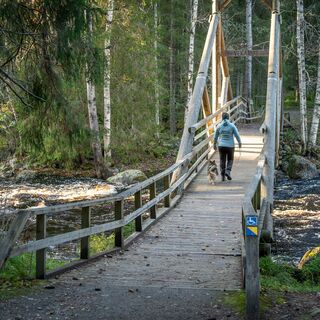 Vekaruskosken silta