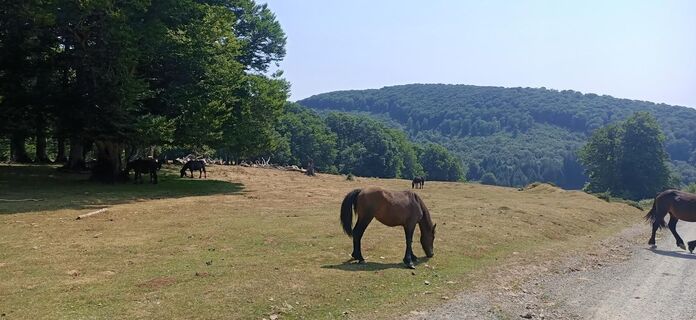 Oberer Teil der Route