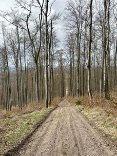 Foto von L.N. entlang der Tour