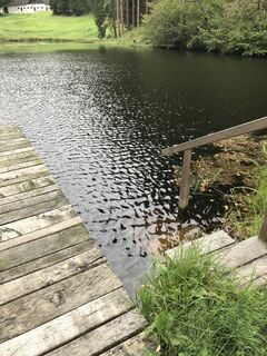 Foto fra GabiLo undervejs på turen