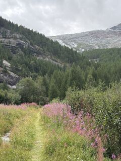 Foto de Juergen Nick a lo largo del recorrido