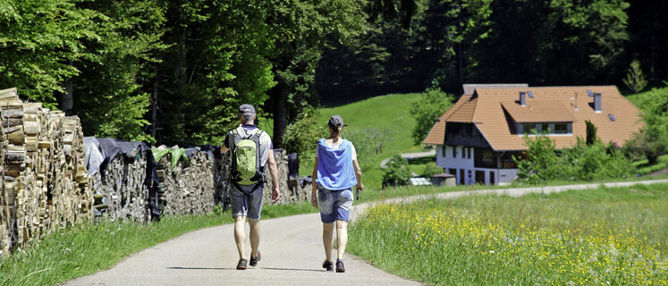 Wandern