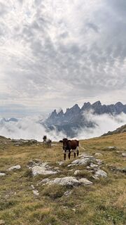 Foto de Luis Traub a lo largo del recorrido