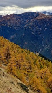 Photo de Fabrizi Mellano le long du parcours