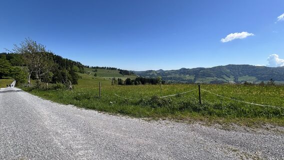 Fotografie z Pezzotta na trase