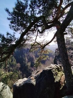 Hohnstein, Sachsen/Deutschland