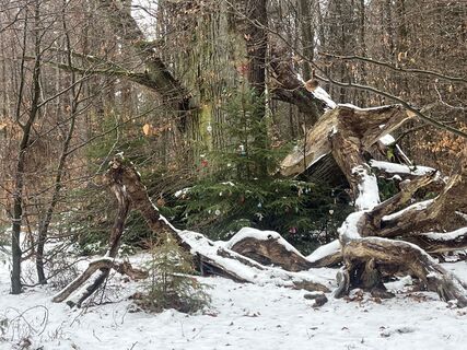 Photo de Roland Steinfadt le long du parcours