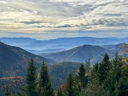 Photo from voeslauer along the tour