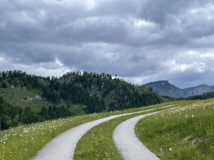 Fotografija s spletne strani Andrea Bleier na poti