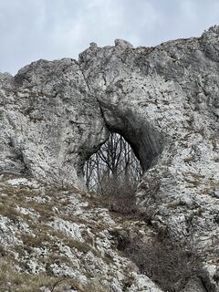 Foto de Miczur a lo largo del recorrido