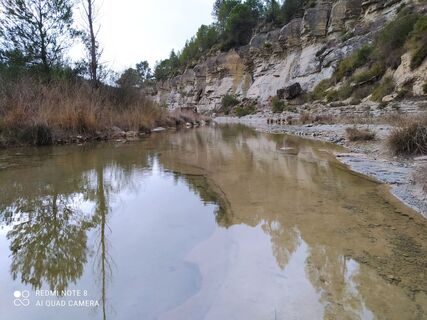 Photo de carmper le long du parcours