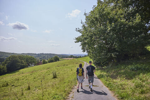 Dörentrup-NABULehrpfad-Teutoburger Wald-LTMGmbH-HirschmeierMediaGmbH&CoKG_042.jpg