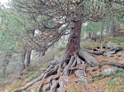Fotó a Andi68 honlapról a túra során