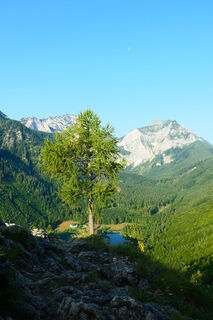 Fotografia z BJStauder na trase