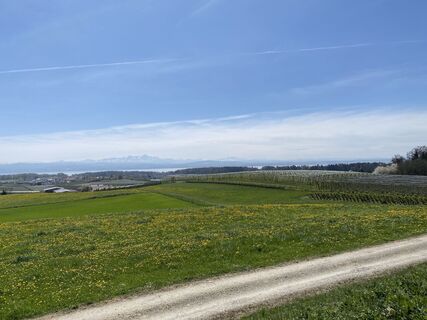 Foto da Lars Klein lungo il tour