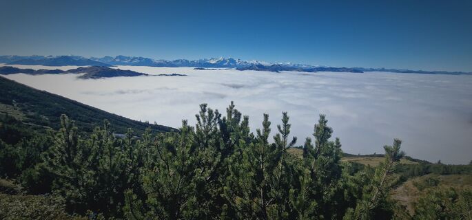 Photo de Isabella Schwaiger-Moser le long du parcours