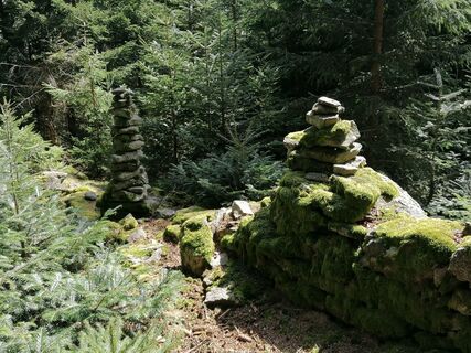 Fotografie z Wanderfux na trase