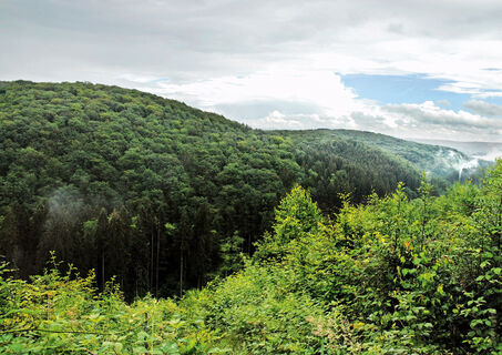 Natursteig Etappe 04