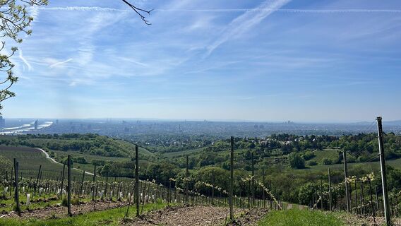 Foto von Hussain entlang der Tour