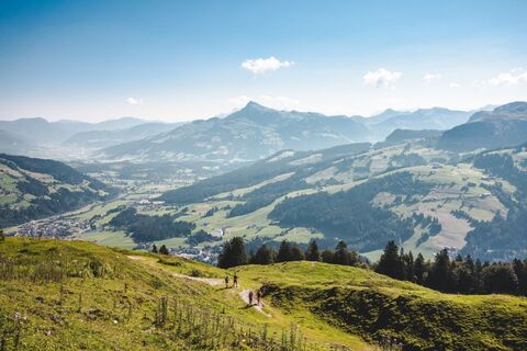 Bärstättalm (2020)_Kitzbüheler Alpen - Brixental_Mathäus Gartner (FULL)09.jpg