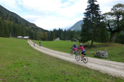 Brandle Alm