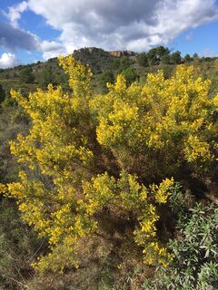 Fotografie z Robert Kremlicka na trase