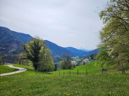 Fotografia z Petra Riegler na trase