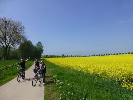 Leine-Heide-Radweg bei Friedland
