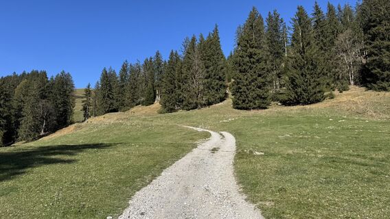 Fotografija s spletne strani peter_oe na poti