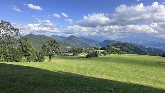 Foto von Mountain Cat ? ⛰️ entlang der Tour