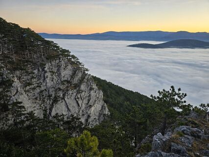 Fotografija s spletne strani TwilightTea na poti