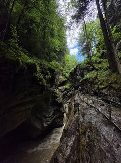 Foto de Gudrun Lippert a lo largo del recorrido
