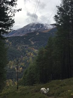 Fotografija s spletne strani Fenrir na poti