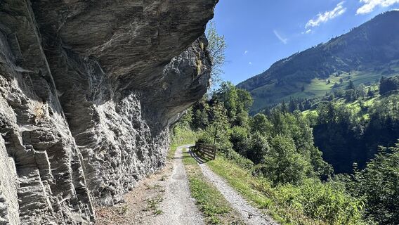 Zdjęcie z Mountain Cat ? ⛰️ wzdłuż trasy