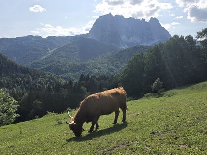 Foto von Gudrun Lippert entlang der Tour