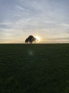 Fotografija s spletne strani Sven Krieblin na poti